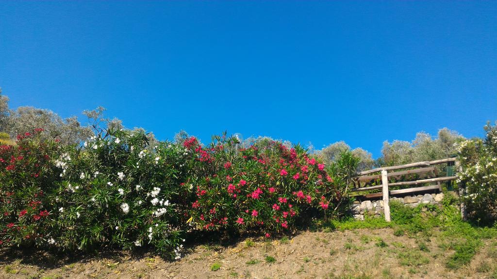 Agriturismo La Quiete Levanto Extérieur photo